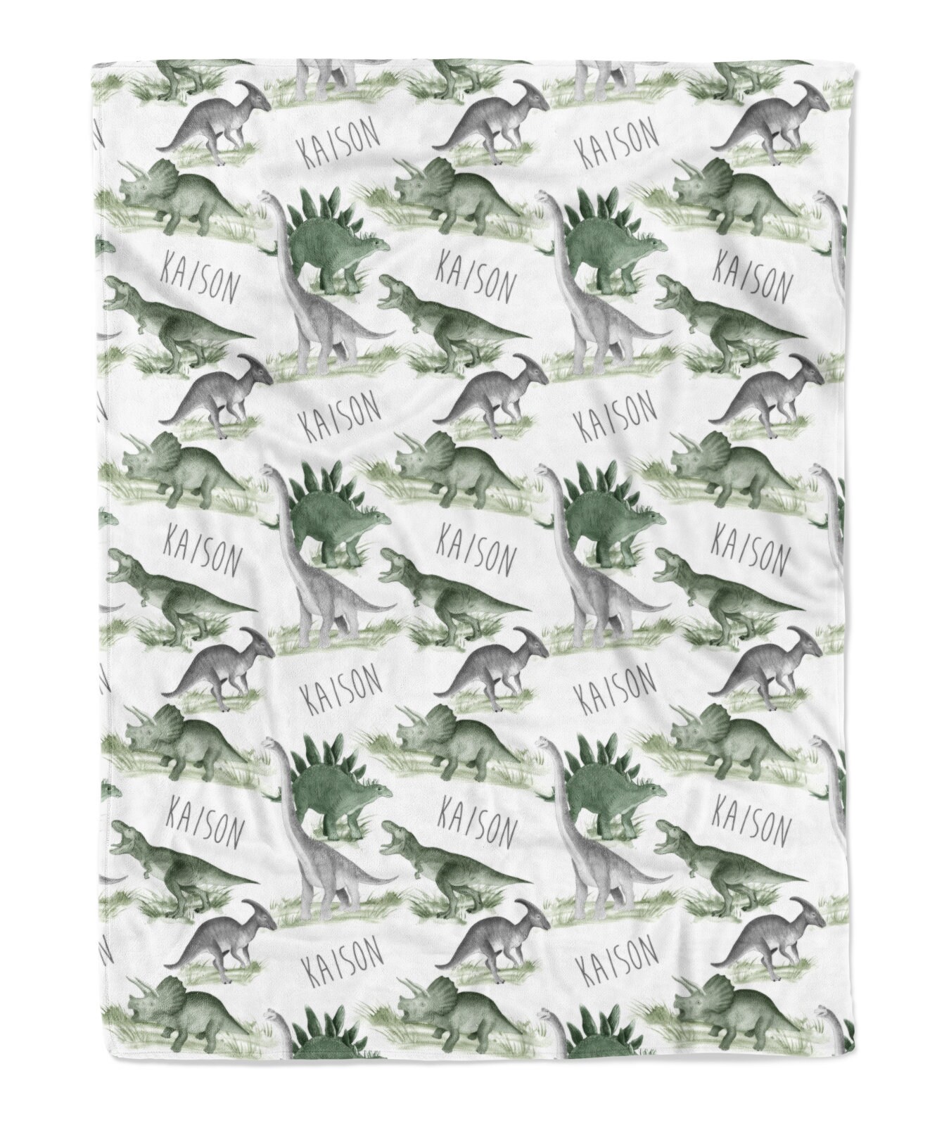 Prehistoric Dinosaur Blanket with Name / Minky or Sherpa Blanket / Baby Boy / Baby Shower Gift / Dinosaur / Prehistoric Collection - Image 2