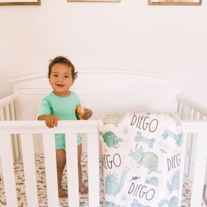 Personalized Dinosaur Baby Blanket, Minky or Sherpa, Shower Birthday, Name Gift, Nursery Decor, Dino Collection