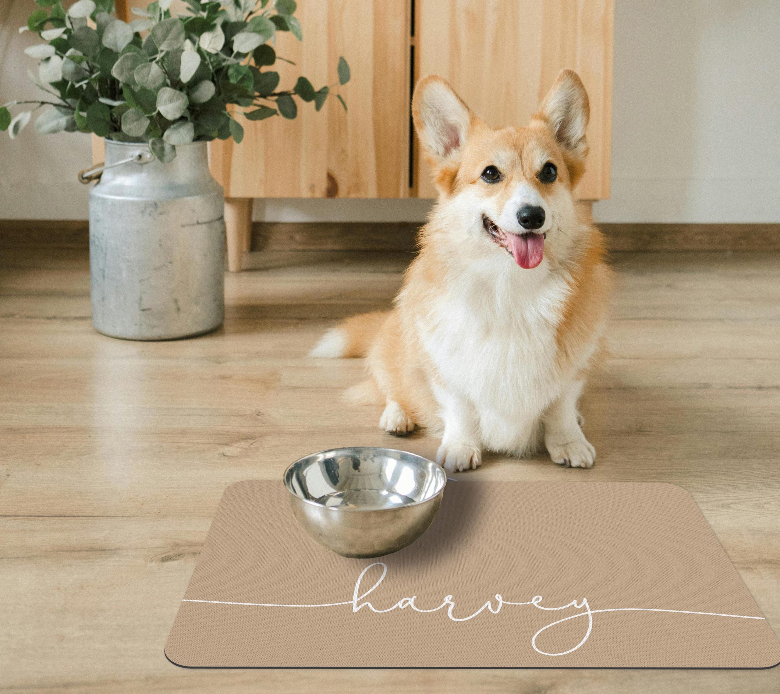 Tan Beige Dog Food Mat, Customize Name Colors and Font, Gifts for Dogs, Puppy or Kitten Cat, Water Absorbent Floor Placemat, Personalized
