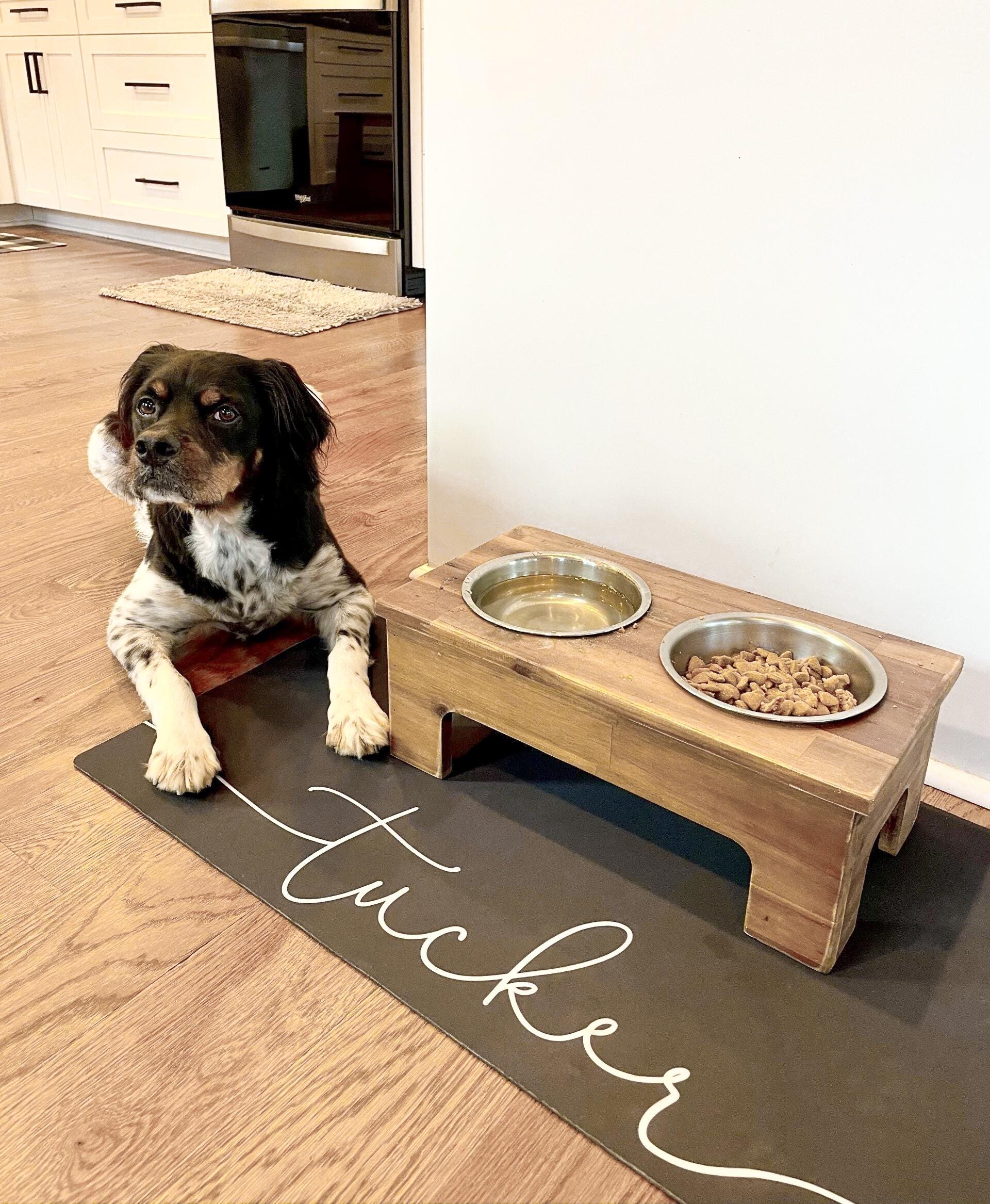 Personalized Name Dog Bowl Mat, Choose Colors and Font, Customized Color Block Pet Placemat, Gift for New Puppy, Dog Lover Supplies - Image 2