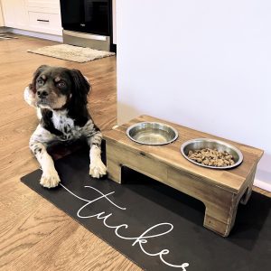 Personalized Dog Food Mat, Customize Name Colors and Font, Puppy, Kitten Cat, Water Absorbent Floor Placemat, Home Decor, Gift for New Pet